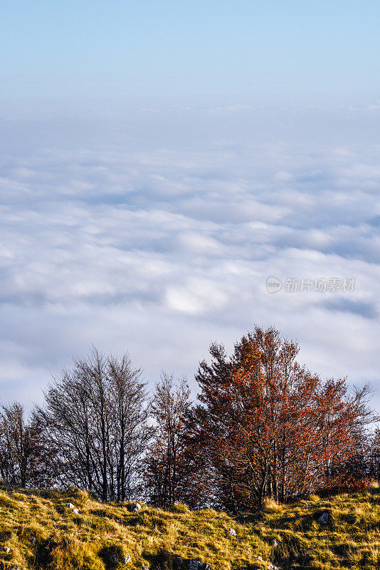 蒙特Grappa-Veneto-Treviso-Italy 29